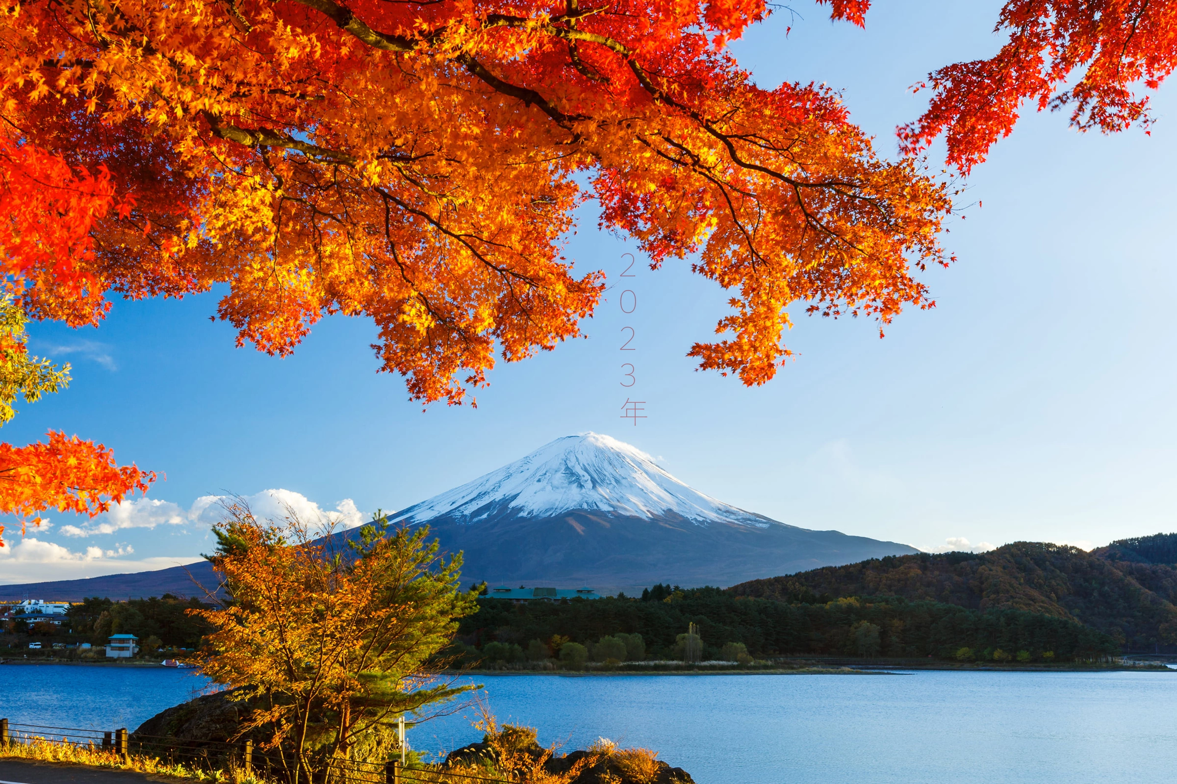 Autumn Foliage Forecast202301