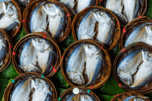 Short Thai Mackerel